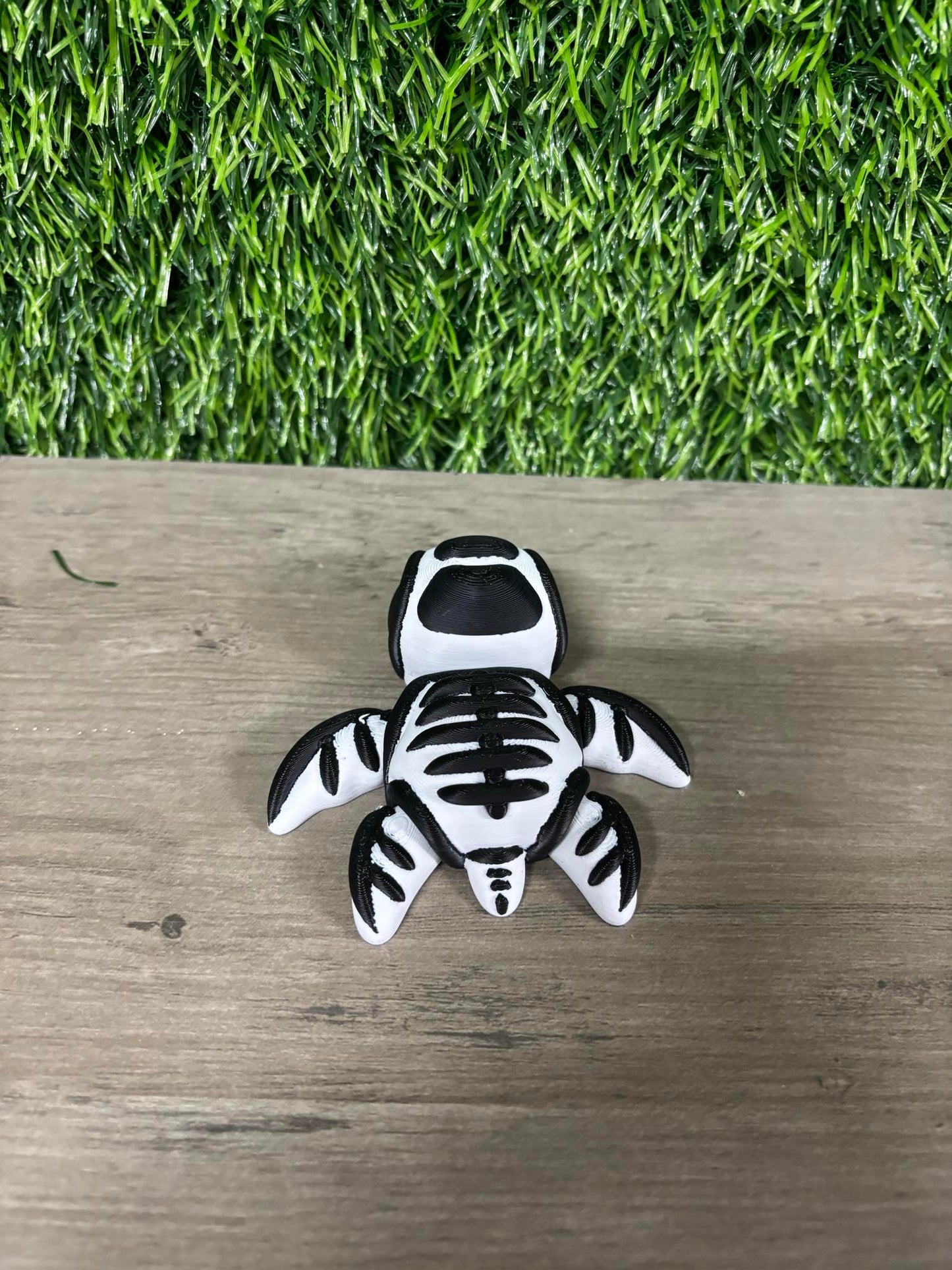 Skelly Turtle