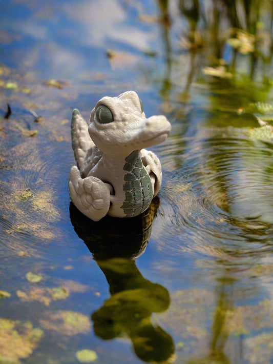 Alligator Duck